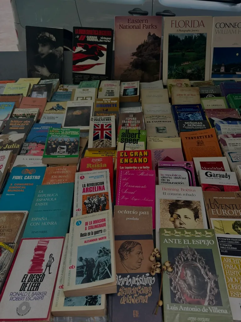 reading in different languages